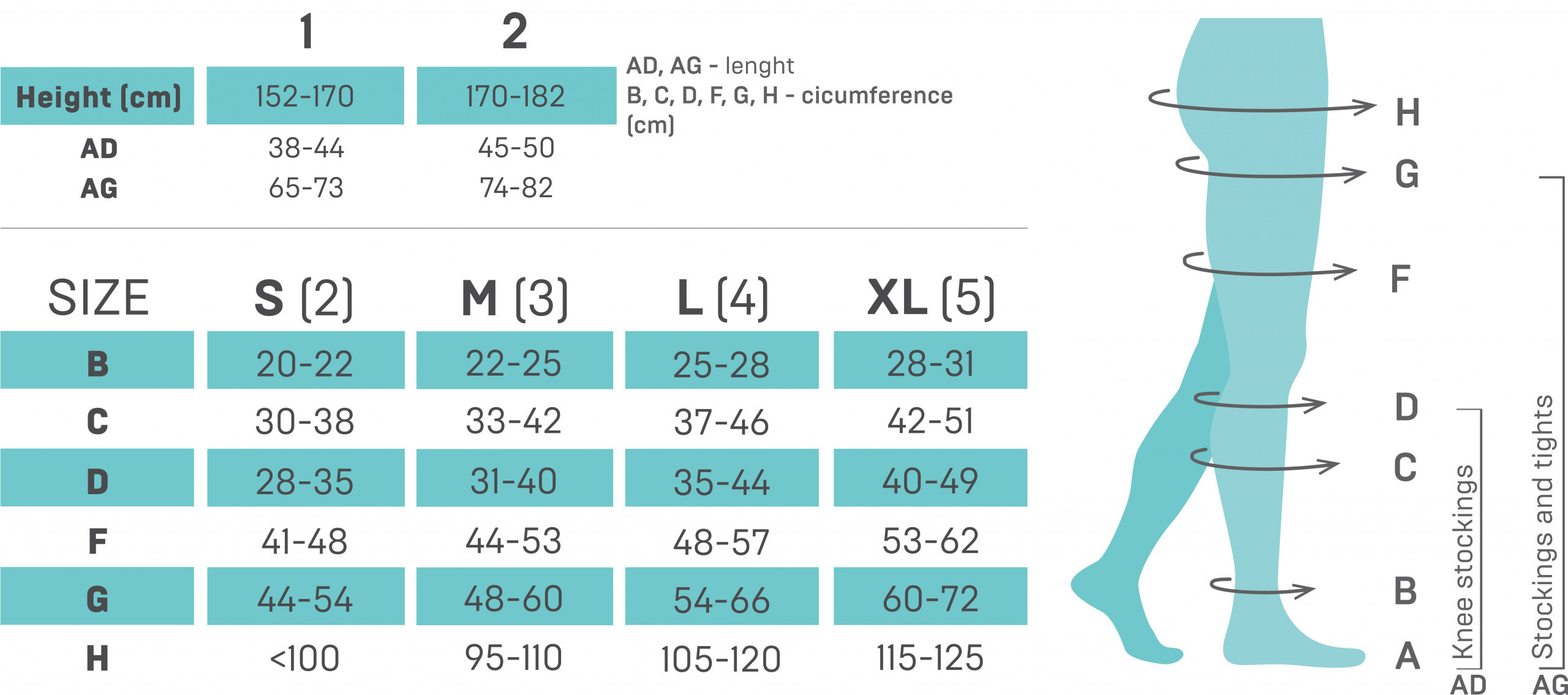 Compression socks: how to find the right size - Tonus Elast